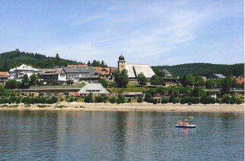 Schluchsee Wohnungen, Schluchsee Wohnung kaufen