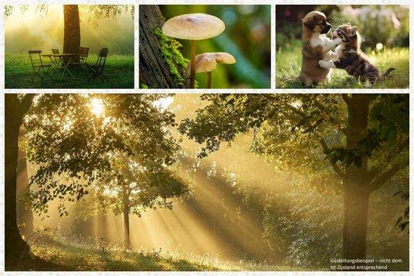 Schaffen Sie Ihr persönliches Paradies