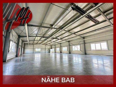 Bad Camberg Halle, Bad Camberg Hallenfläche