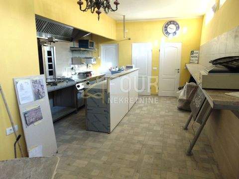 Center Halle, Center Hallenfläche