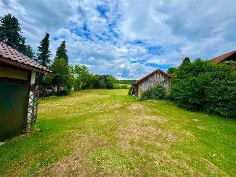 Wald Häuser, Wald Haus kaufen