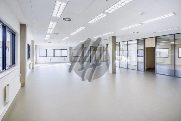 INFOS UNTER: 06171-586000