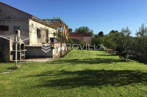 Centar Häuser, Centar Haus kaufen