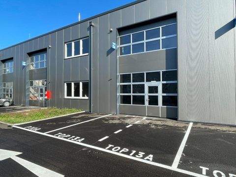 Regau Halle, Regau Hallenfläche