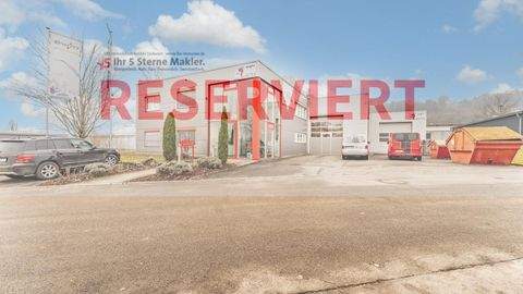 Mühlhausen-Ehingen Halle, Mühlhausen-Ehingen Hallenfläche