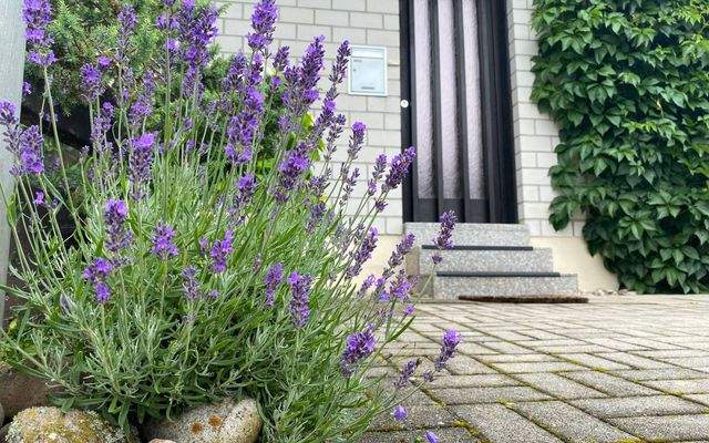 Leonberg Pfullinger Weg Eingang