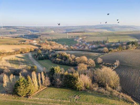 Blick über Winterborn