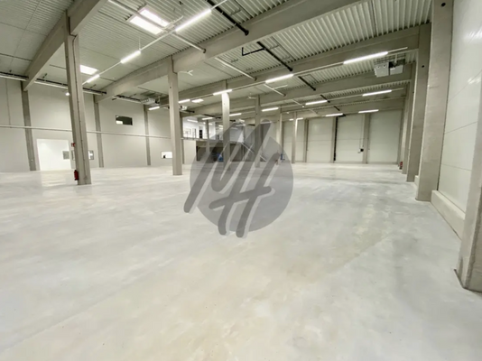 INFOS UNTER: 06171-586000