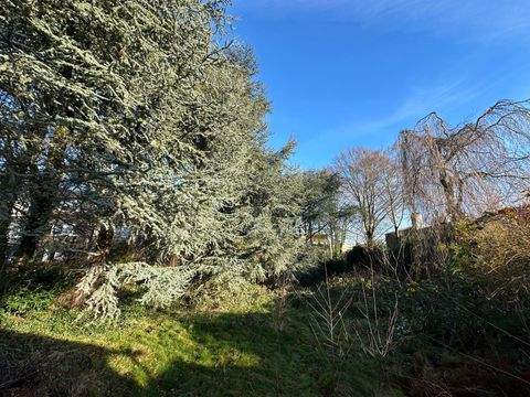 Bochum / Höntrop Wohnungen, Bochum / Höntrop Wohnung kaufen