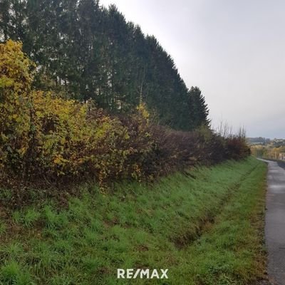 Längsansicht des Grundstückes