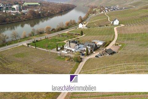 Graach an der Mosel Häuser, Graach an der Mosel Haus kaufen