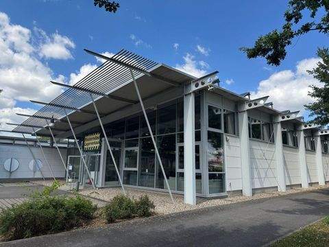 Gommersheim Halle, Gommersheim Hallenfläche