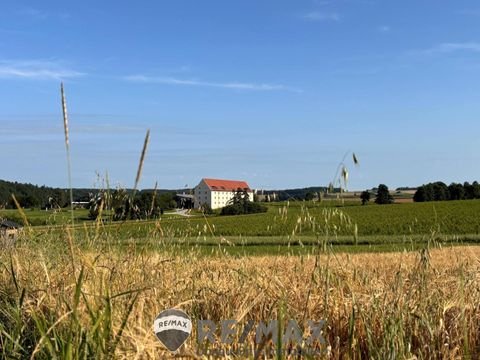 Niedergrünbach Wohnungen, Niedergrünbach Wohnung mieten