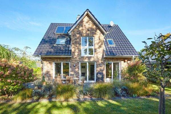 Licht- und Schattenspiel des alten Baumbestandes