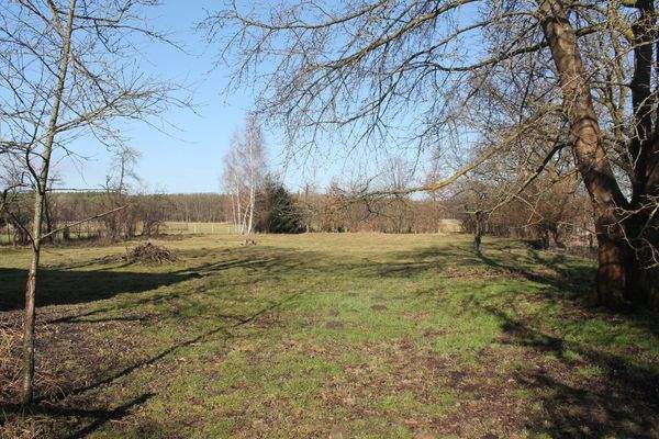 Landwirtschaftliche Fläche