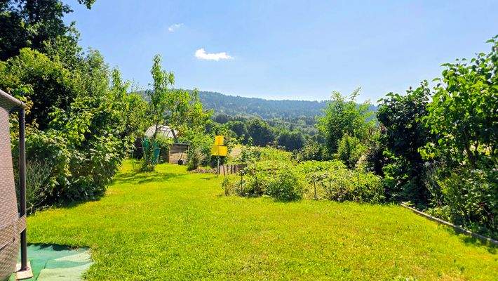 Garten süd ost Gemüse und Obstbäume.jpg