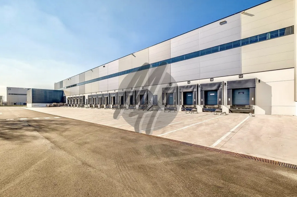 INFOS UNTER: 06171-586000