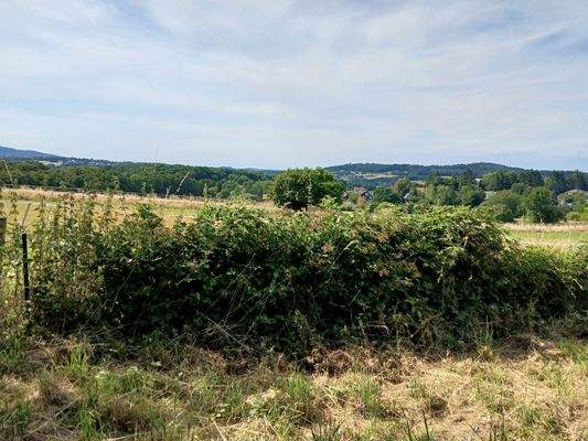 Blick bis zum Kölner Dom