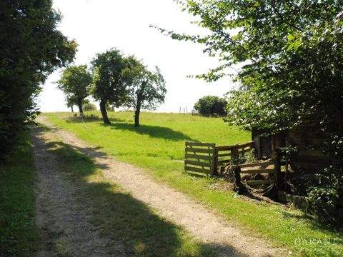 Grimma Grundstücke, Grimma Grundstück kaufen