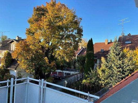 Ausblick von der Dachterrasse.jpg