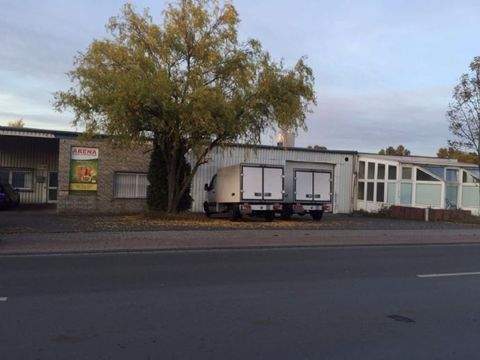 Selm Halle, Selm Hallenfläche