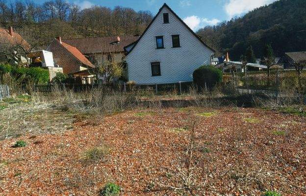 unbebautes Nachbargrundstück