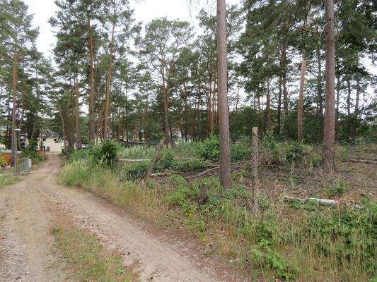 Straße links Richtung Süden