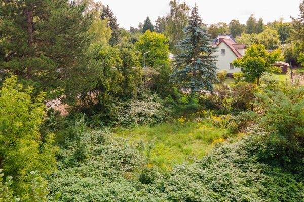 Bauträgerfreies & erschlossenes Grundstück