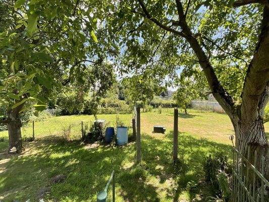 Garten mit Obstbäumen