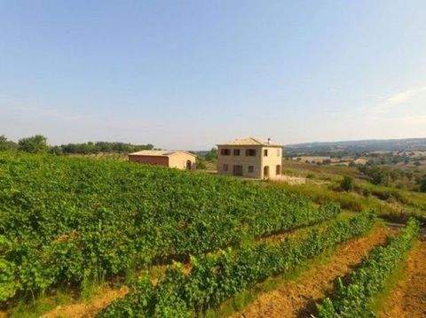 Magliano Häuser, Magliano Haus kaufen