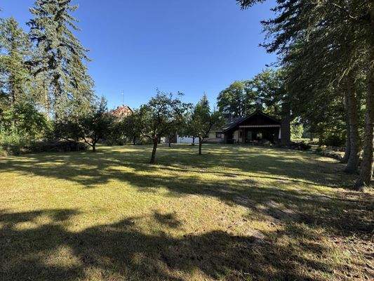 Blick über den Garten zur Terrasse