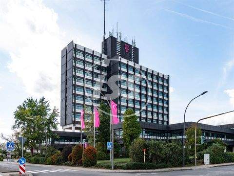 Neustadt an der Weinstraße Büros, Büroräume, Büroflächen 