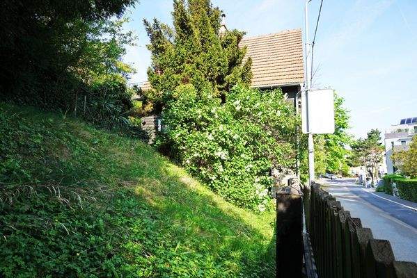 Garten mit Blick zum Haus