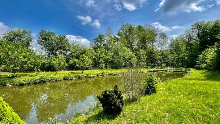Grundstück mit 2 Fischteichen