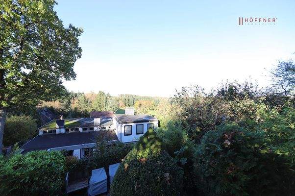 Ausblick obere Bereich des Gartens