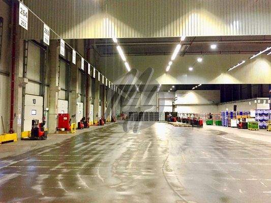 INFOS UNTER: 06171-586000