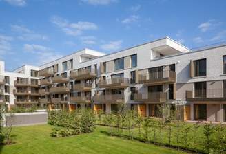 "MUSTER" Beispielbild