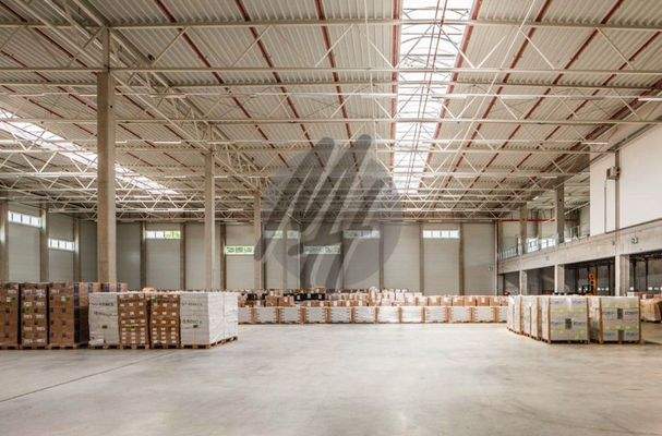 INFOS UNTER: 06171-586000