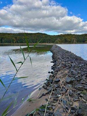  Elbe In nur 3 Min. erreichbar