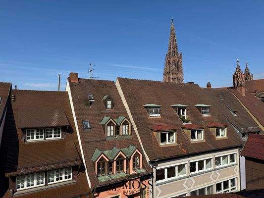 Münster-Blick vom Schlafzimmer