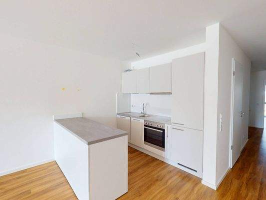 Moderne Einbauküche