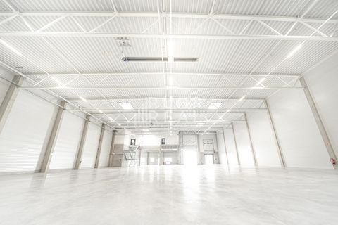 Mülheim Halle, Mülheim Hallenfläche