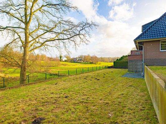 Blick über den Garten