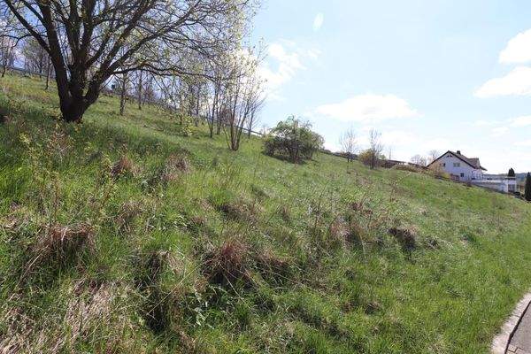 Wohnbaugrundstücke 1-3