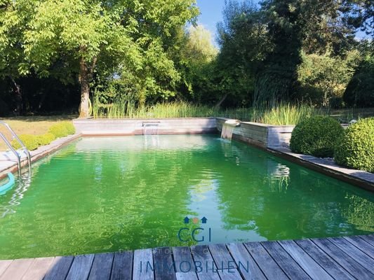 Naturschwimmpool
