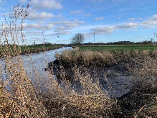 Übergang zur Pinnau