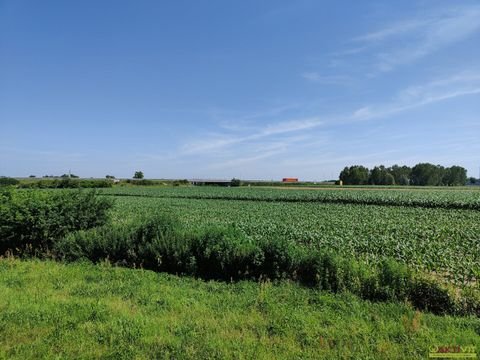 Beltinci Industrieflächen, Lagerflächen, Produktionshalle, Serviceflächen