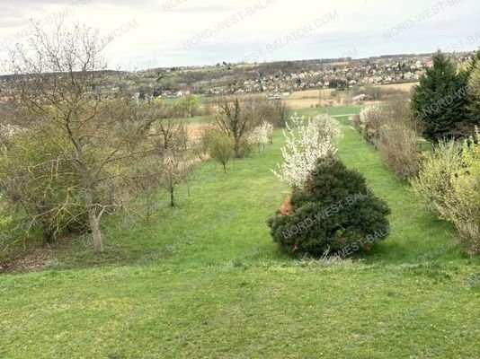 Blick von der Terrasse in den Garten