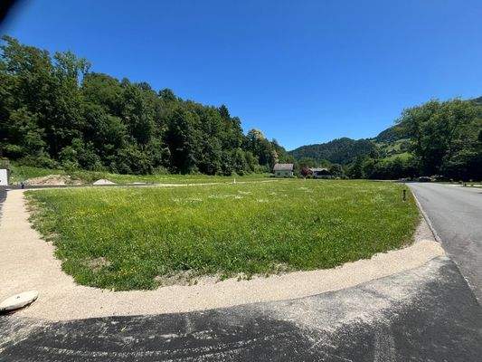 Einfahrt von Straße