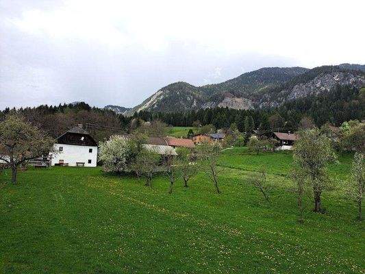 Blick nach Norden.jpg